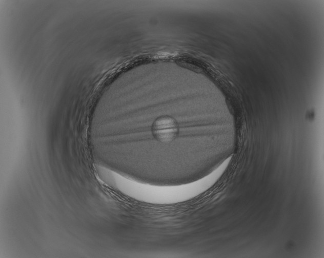 X0000116781441201001071227