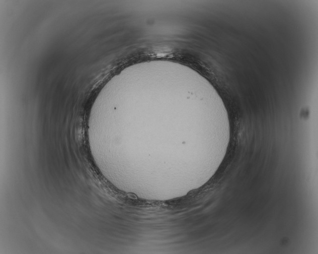 X0000116781442201001071227