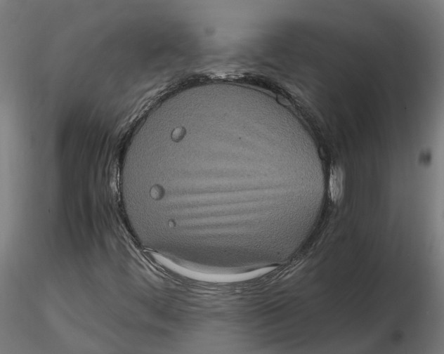 X0000116781444201001071227