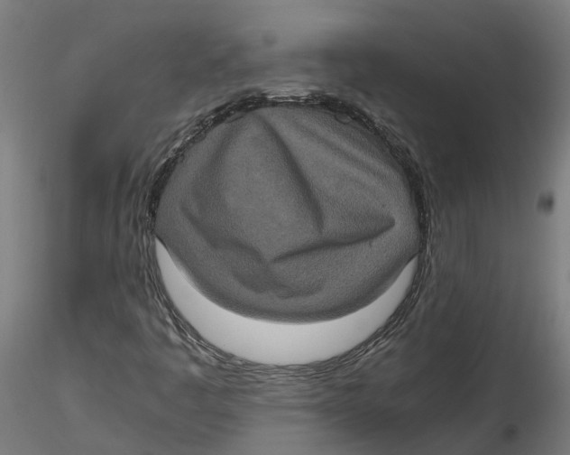 X0000116781445201001071227