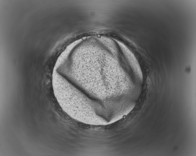 X0000116781447201001071227