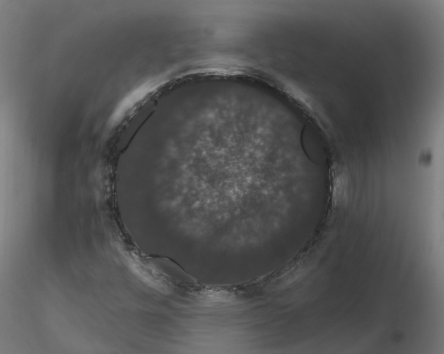 X0000116781448201001071227