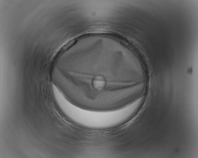 X0000116781449201001071227