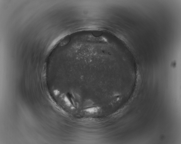 X0000116781450201001071227