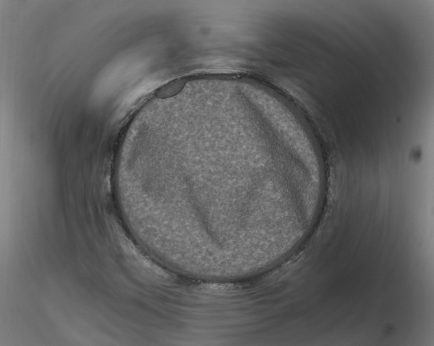 X0000116781451201001071227