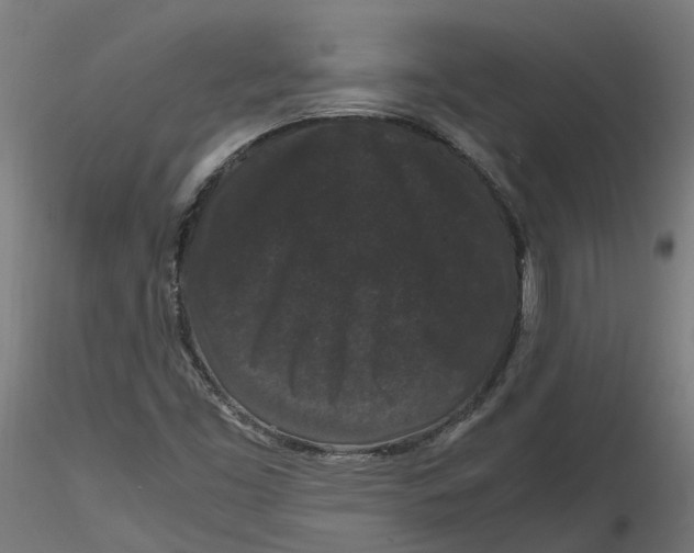 X0000116781453201001071227