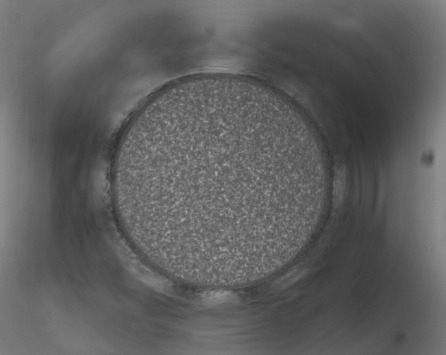 X0000116781454201001071227