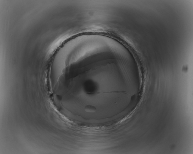 X0000116781455201001071227