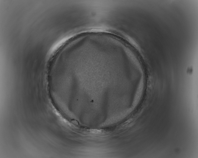 X0000116781456201001071227