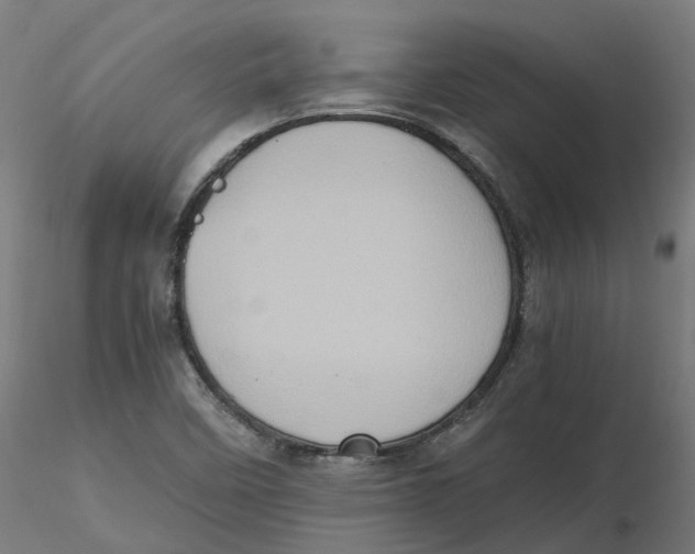 X0000116781458201001071227