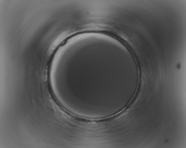 X0000116781459201001071227