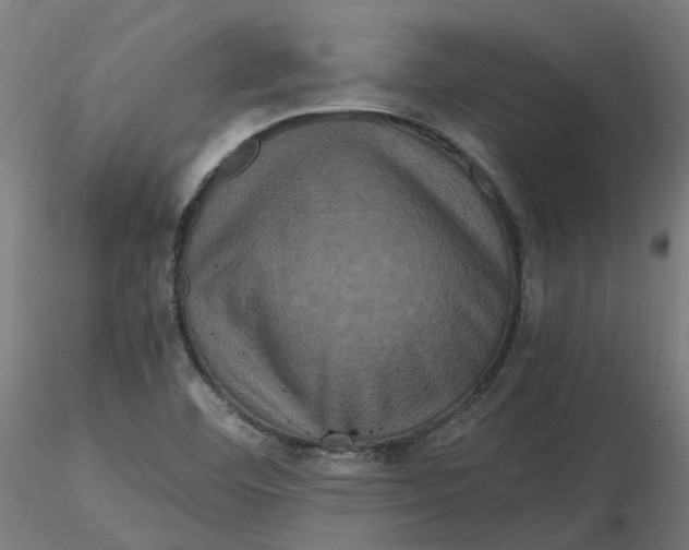 X0000116781460201001071227