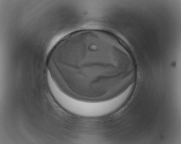 X0000116781461201001071227