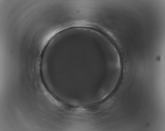 X0000116781463201001071227