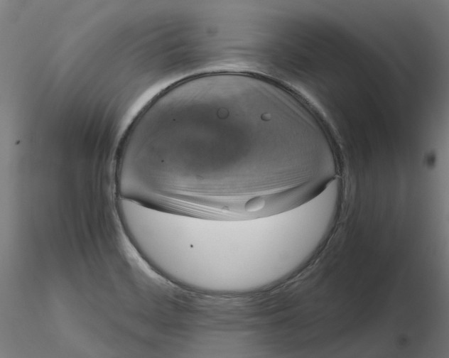 X0000116781468201001071227