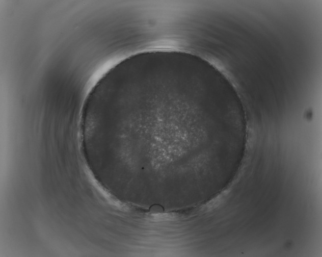 X0000116781469201001071227