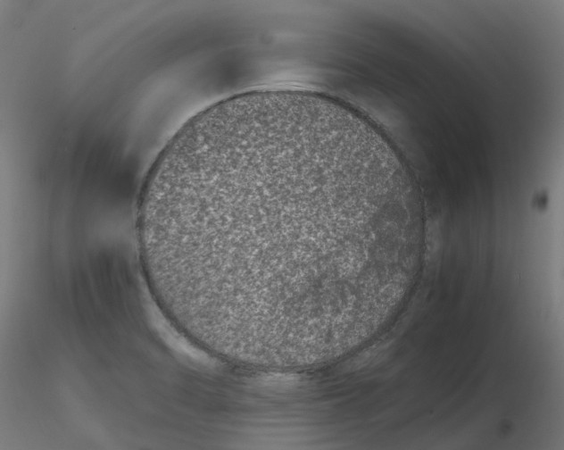 X0000116781470201001071227