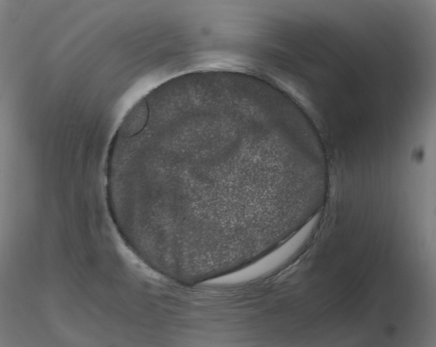 X0000116781471201001071227