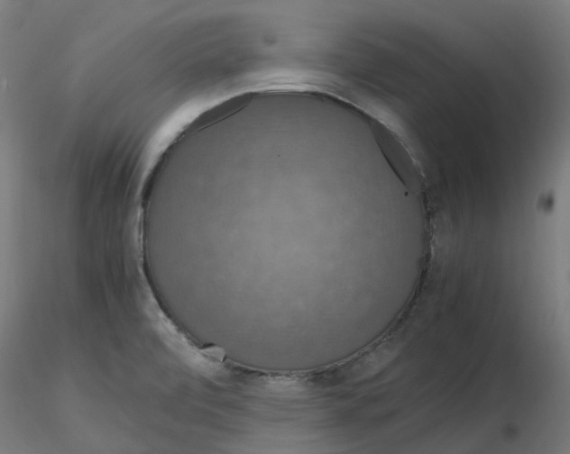 X0000116781472201001071227