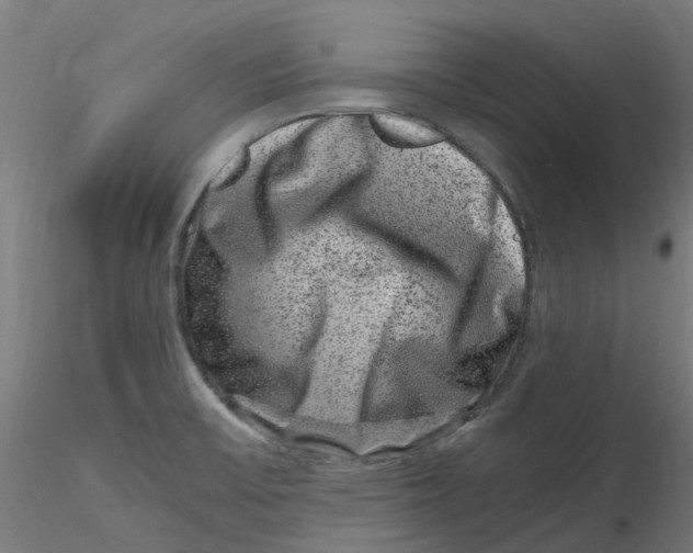 X0000116781475201001071227