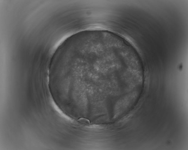 X0000116781476201001071227