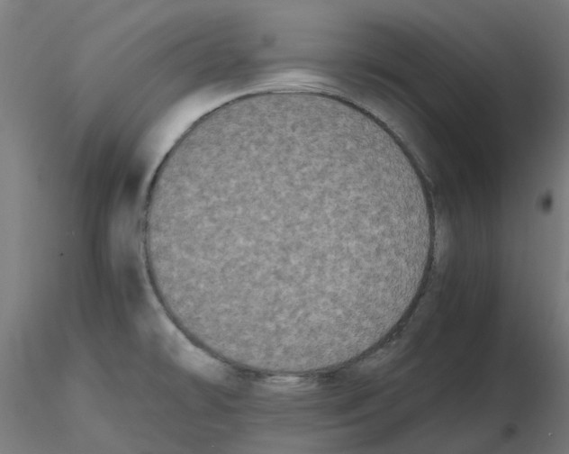 X0000116781478201001071227