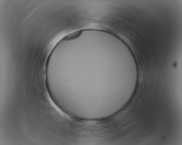 X0000116781479201001071227