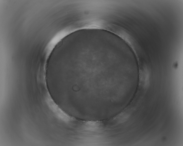 X0000116781480201001071227