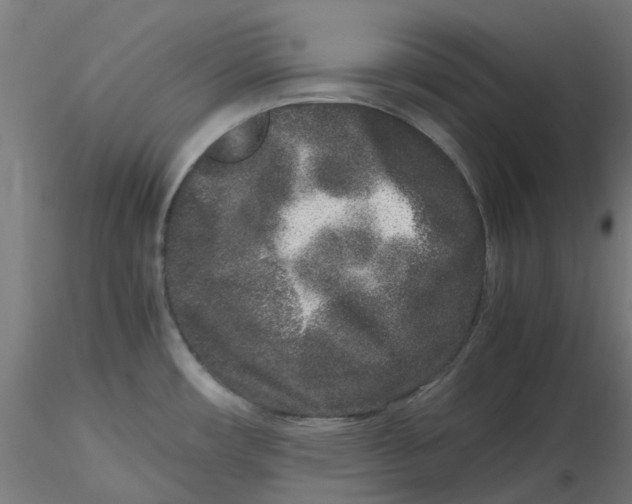 X0000116781482201001071227