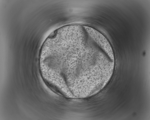 X0000116781483201001071227