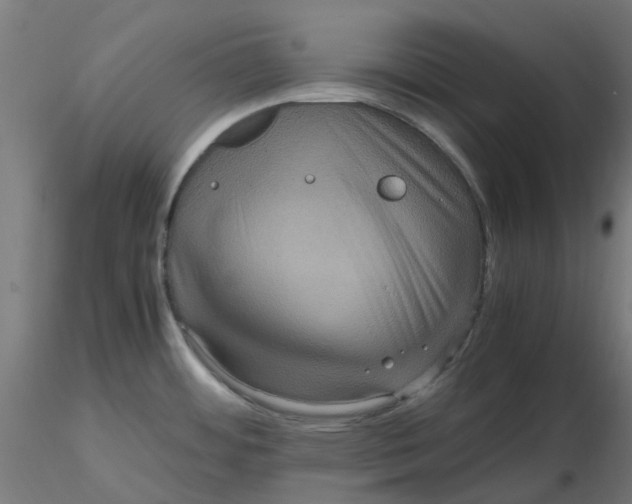 X0000116781484201001071227