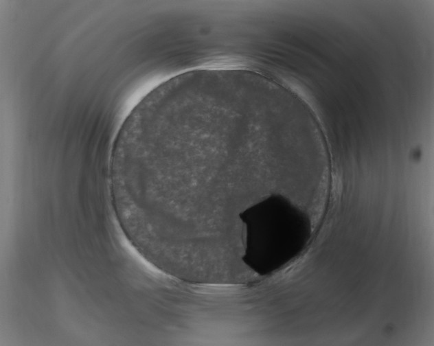 X0000116781487201001071226