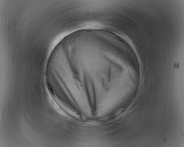 X0000116781488201001071226