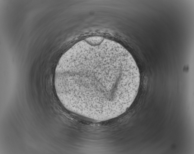 X0000116781489201001071226