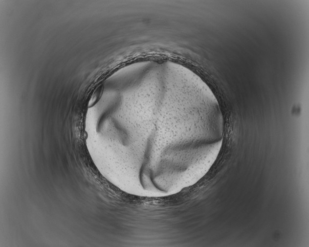 X0000116781490201001071226