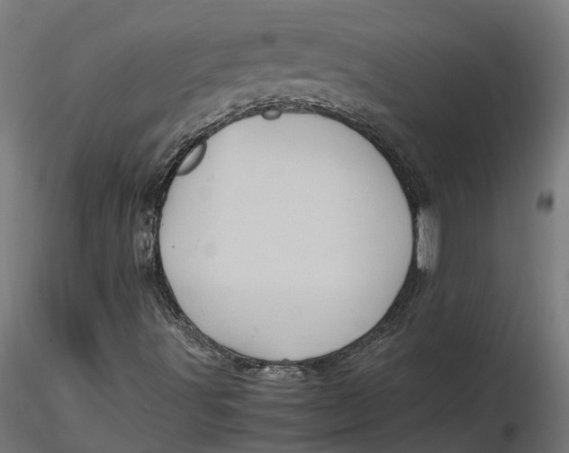 X0000116781491201001071226