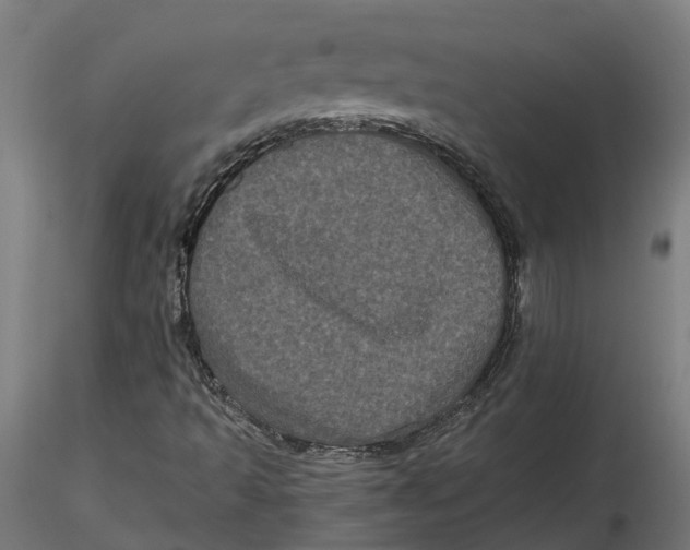 X0000116781493201001071226