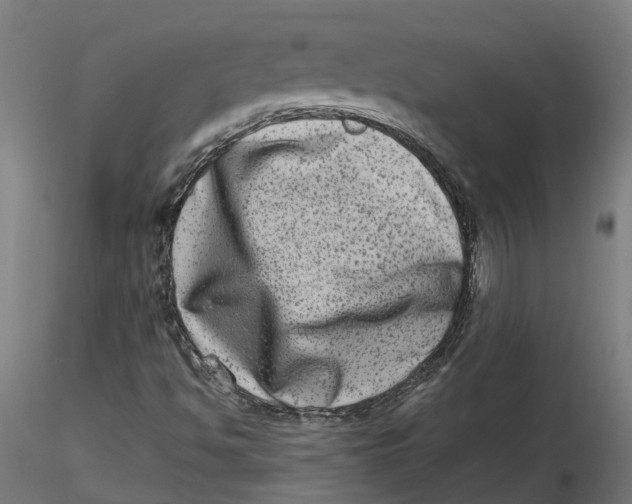 X0000116781494201001071226