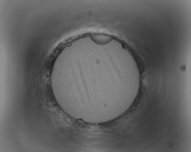 X0000116781495201001071226