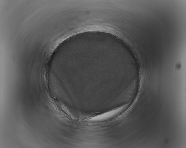 X0000116781497201001071226