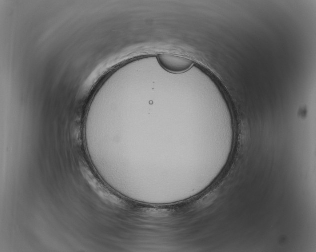 X0000116781499201001071226