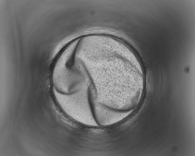 X0000116781501201001071226