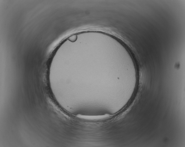 X0000116781502201001071226