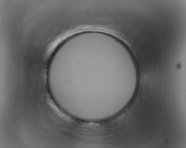 X0000116781503201001071226