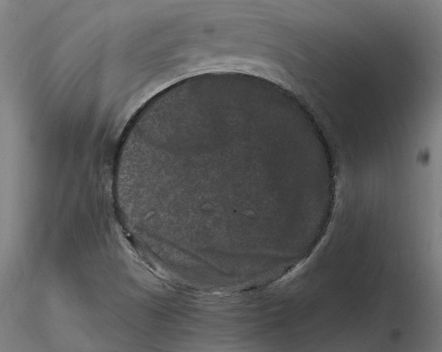 X0000116781505201001071226