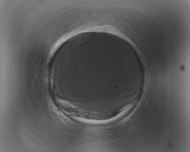 X0000116781506201001071226