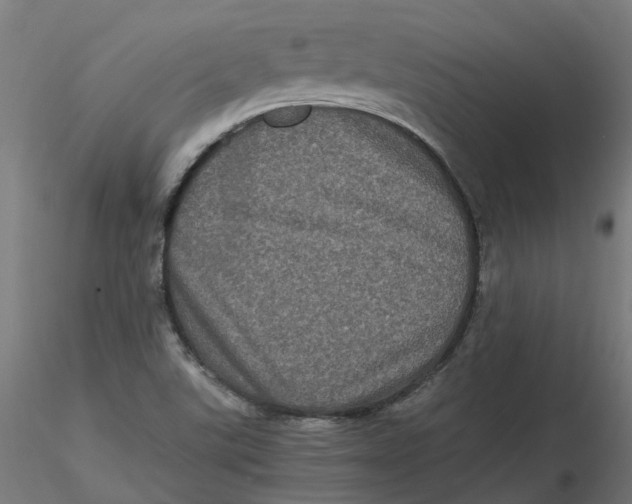 X0000116781507201001071226