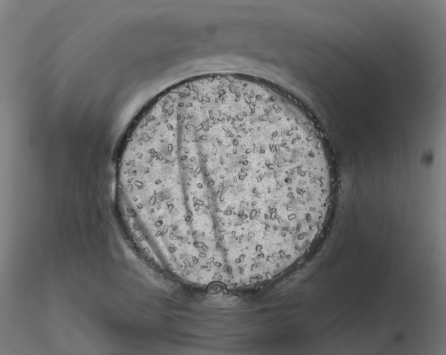 X0000116781509201001071226