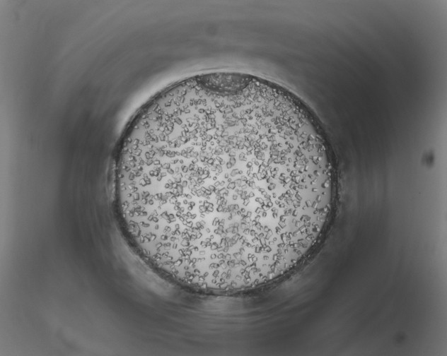 X0000116781510201001071226