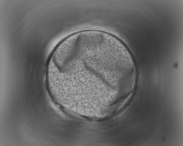 X0000116781511201001071226